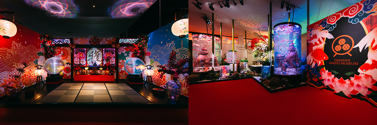 Interior view of the Okinawa Kingyo Museum.